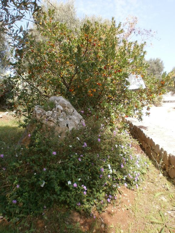 Trullo Villa Giuliana Con Giardino Posizione Panoramica Free Wifi Остуни Экстерьер фото