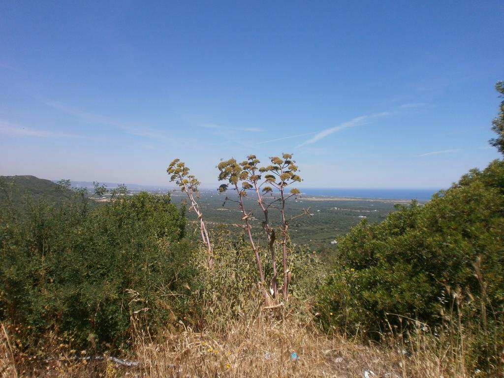 Trullo Villa Giuliana Con Giardino Posizione Panoramica Free Wifi Остуни Номер фото
