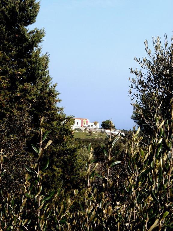 Trullo Villa Giuliana Con Giardino Posizione Panoramica Free Wifi Остуни Номер фото