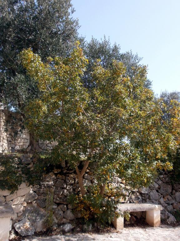 Trullo Villa Giuliana Con Giardino Posizione Panoramica Free Wifi Остуни Номер фото
